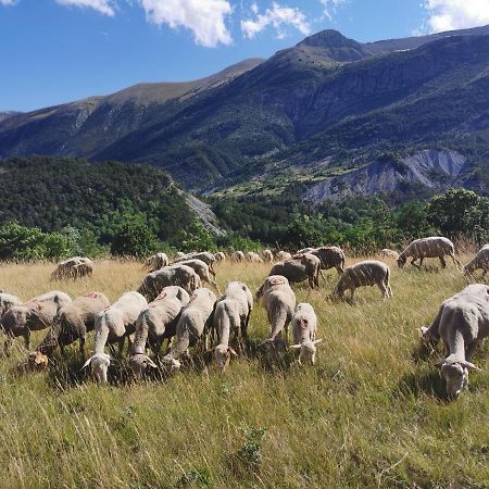 La Peyregoune, Logement En Pleine Nature Et Table D'Hotes Blieux Εξωτερικό φωτογραφία
