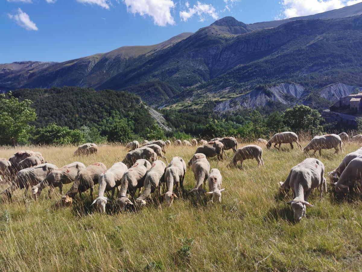 La Peyregoune, Logement En Pleine Nature Et Table D'Hotes Blieux Εξωτερικό φωτογραφία